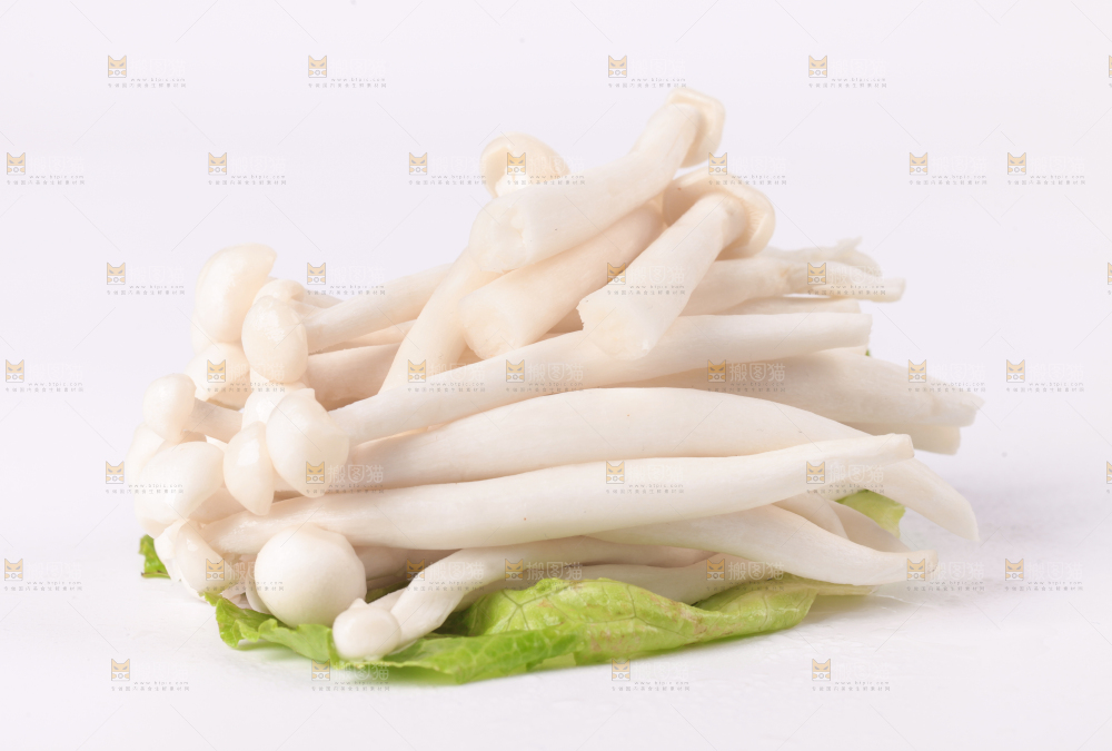 白底上的海鲜菇