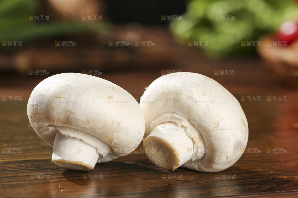 木底上的口蘑