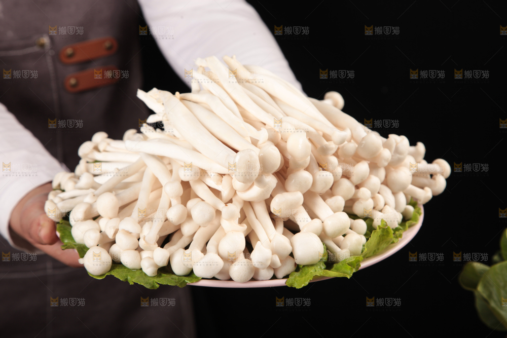 深底上的海鲜菇