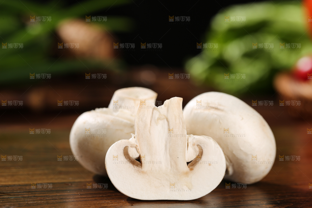 木底上的口蘑