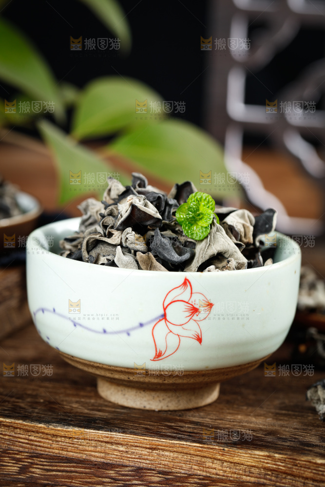木底上的野生木耳