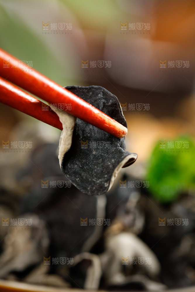 木底上的野生木耳