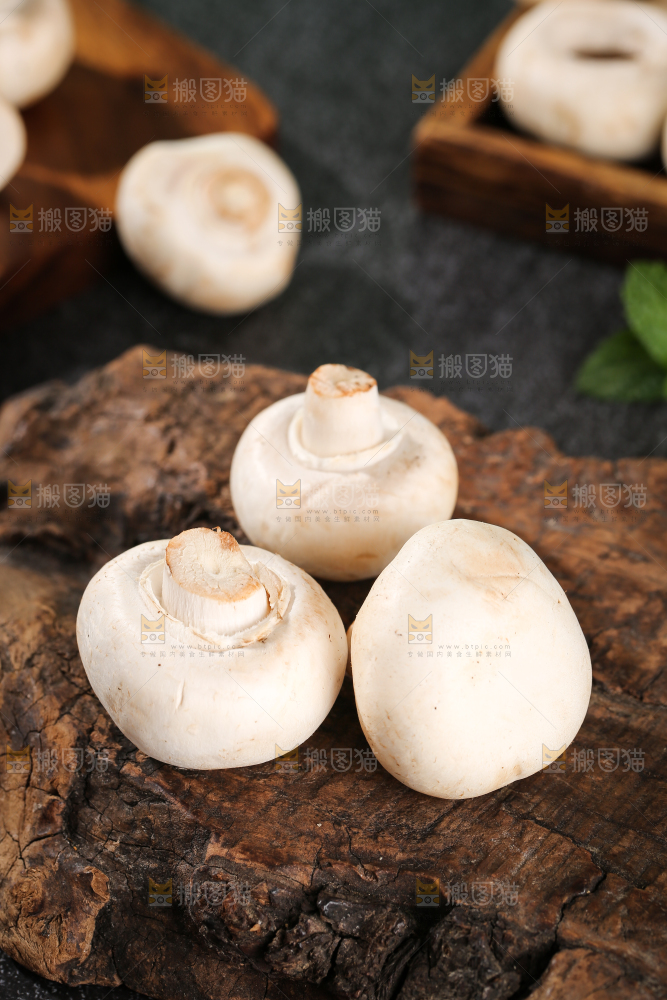 深底上的口蘑