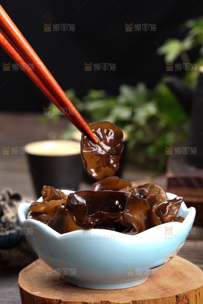 木底上的野生木耳
