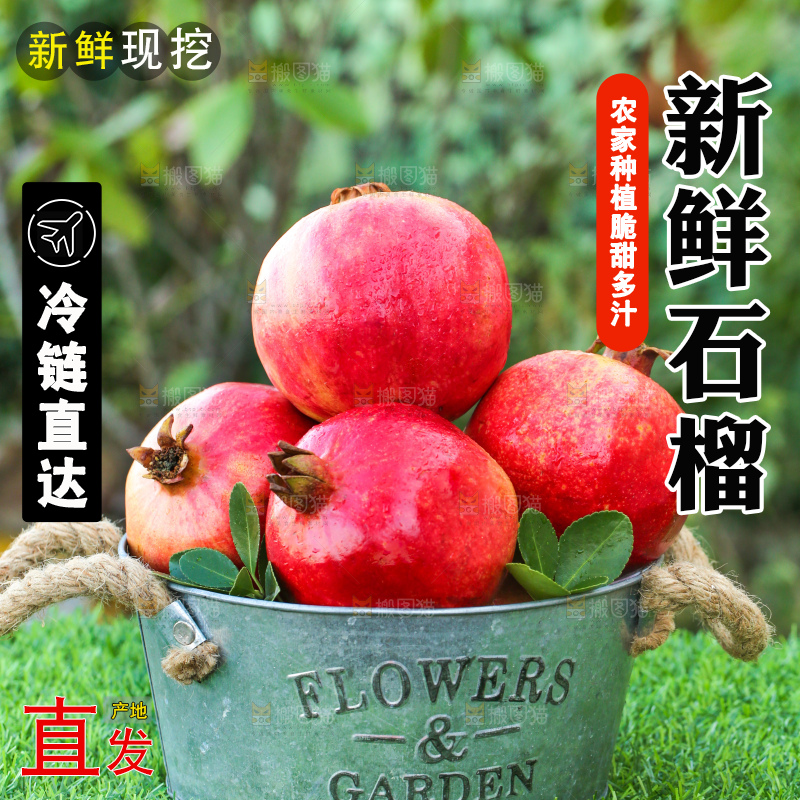 绿色草坪上放着一桶突尼斯石榴
