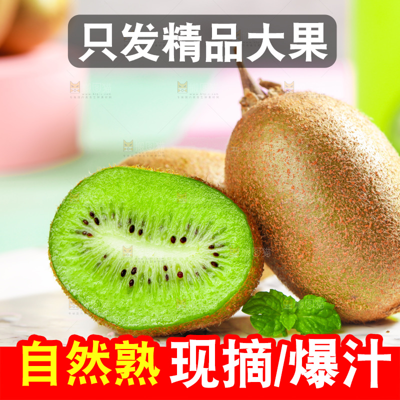 石盘里的秦岭猕猴桃