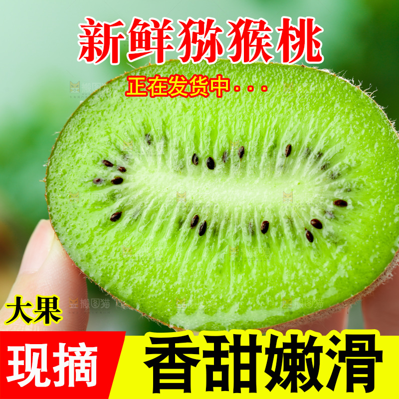 手上拿着绿心猕猴桃果肉