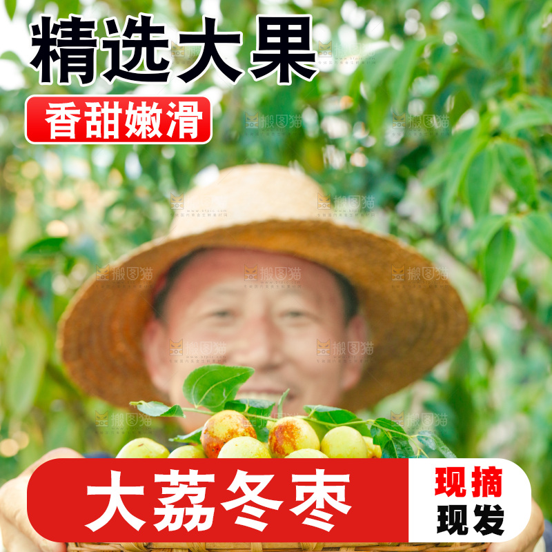 农民手上端着一篮新鲜冬枣