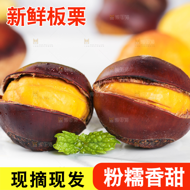 白底上熟的开口板栗