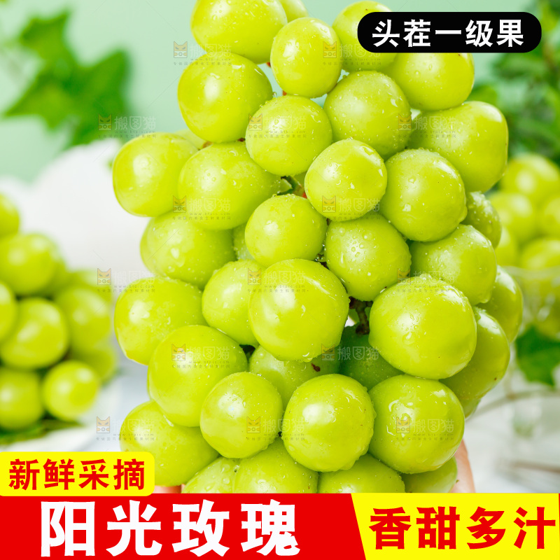手上拿着一串阳光玫瑰