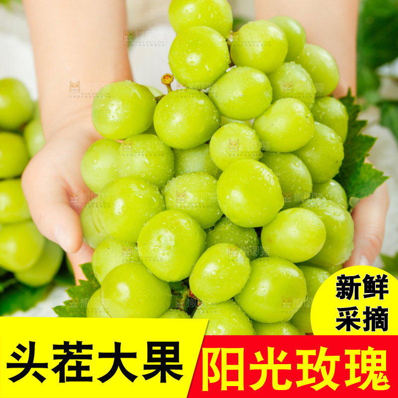手上拿着一串阳光玫瑰