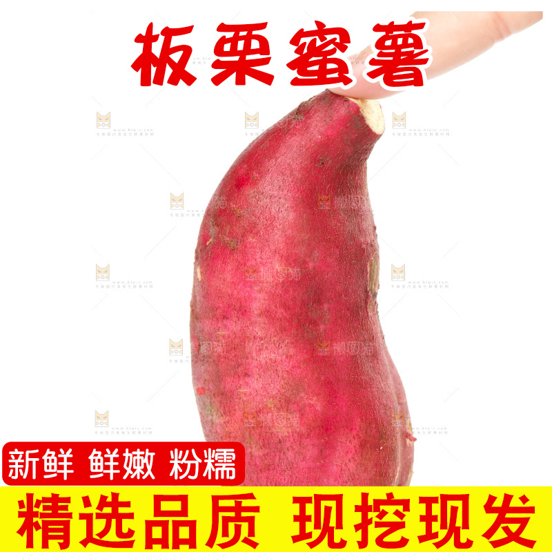 白底上的板栗蜜薯