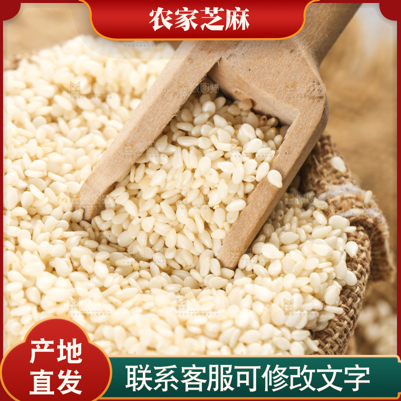 小麻袋里装着生芝麻和勺子上挖着芝麻