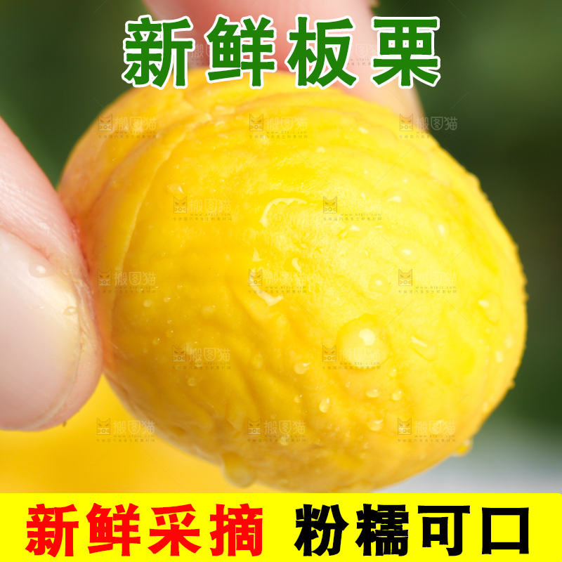 手上拿着迁西板栗