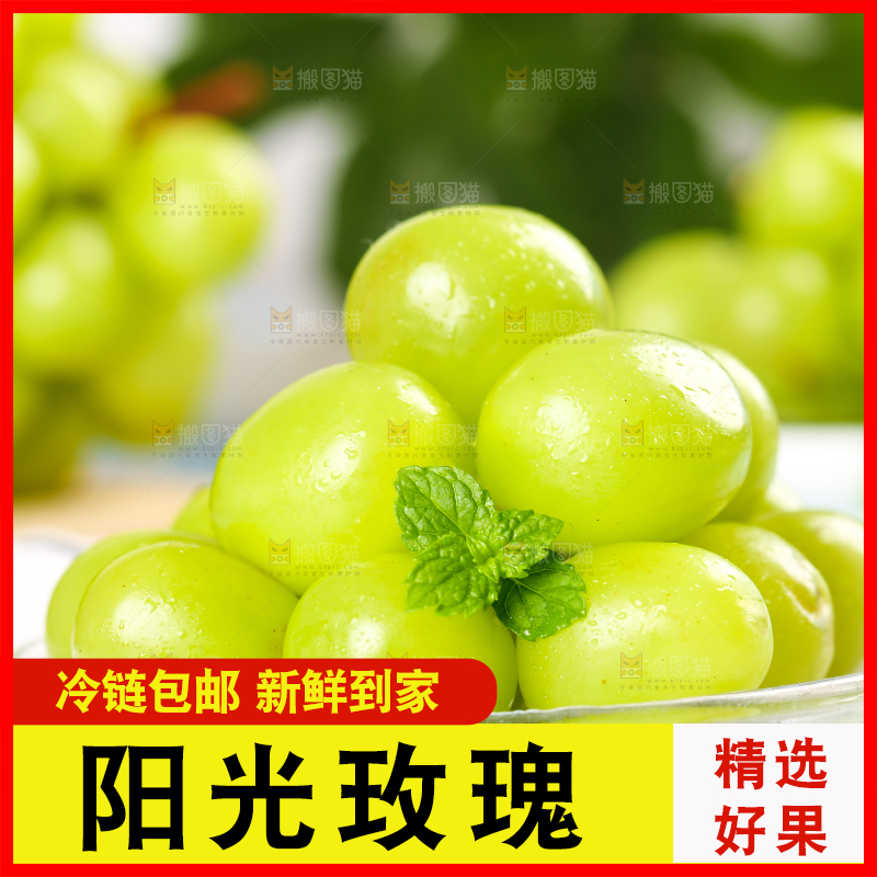 格子底上放着一盘晴王香印青提