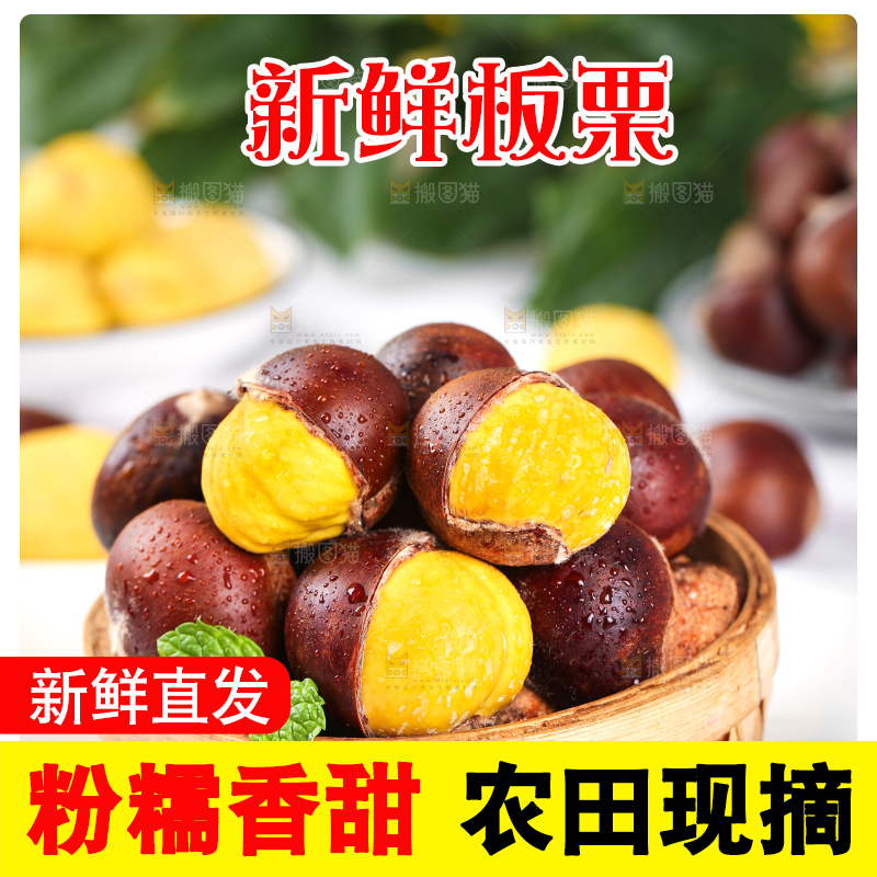 白底上一篮新鲜的丹东板栗
