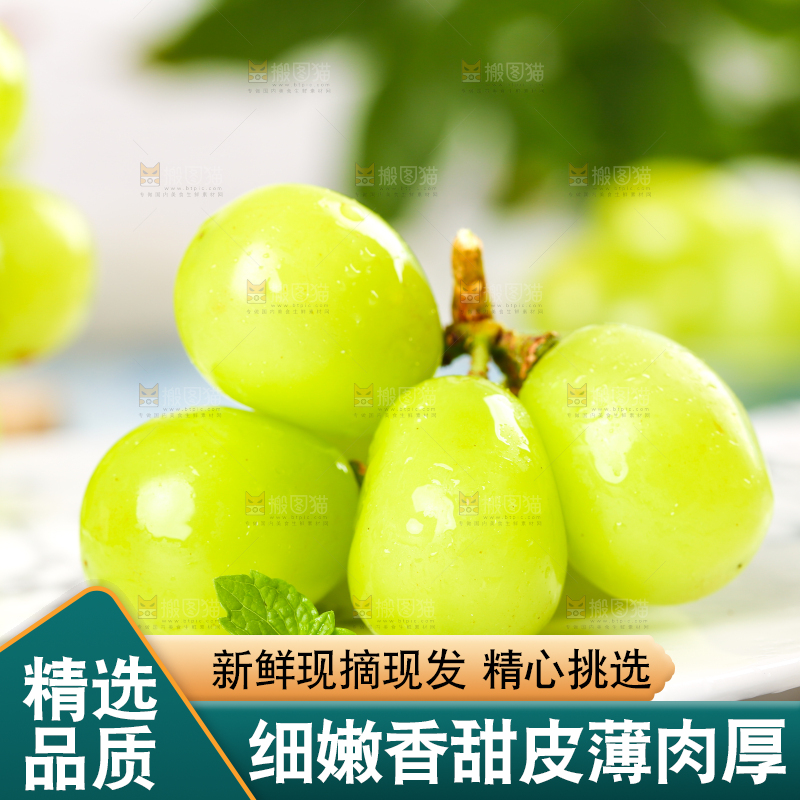 石盘里的无籽青提