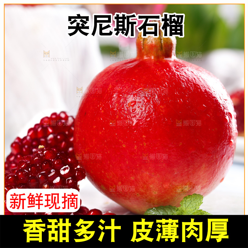 白石底上的红石榴