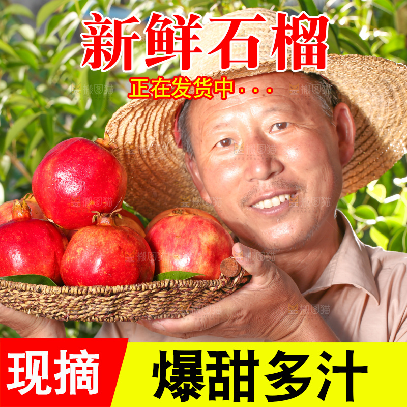 农民手上端着软籽石榴