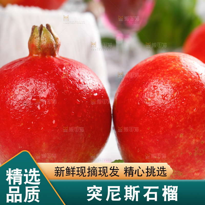 白石底上的红石榴