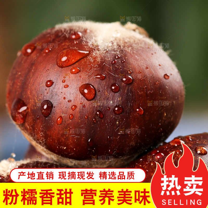 木板上放着一堆毛栗子