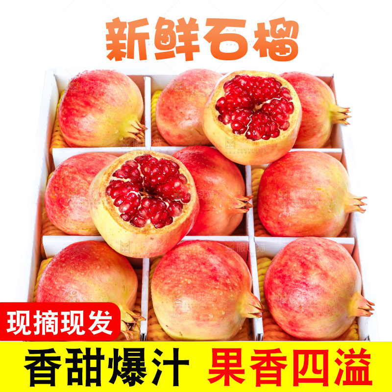 白底上一箱突尼斯石榴