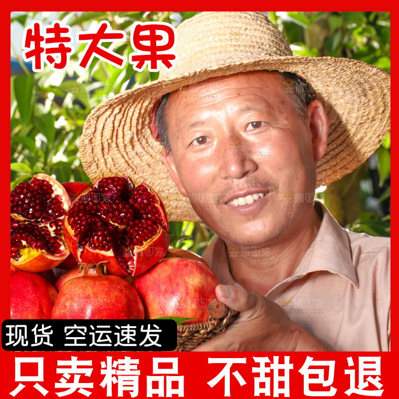 农民手上端着软籽石榴