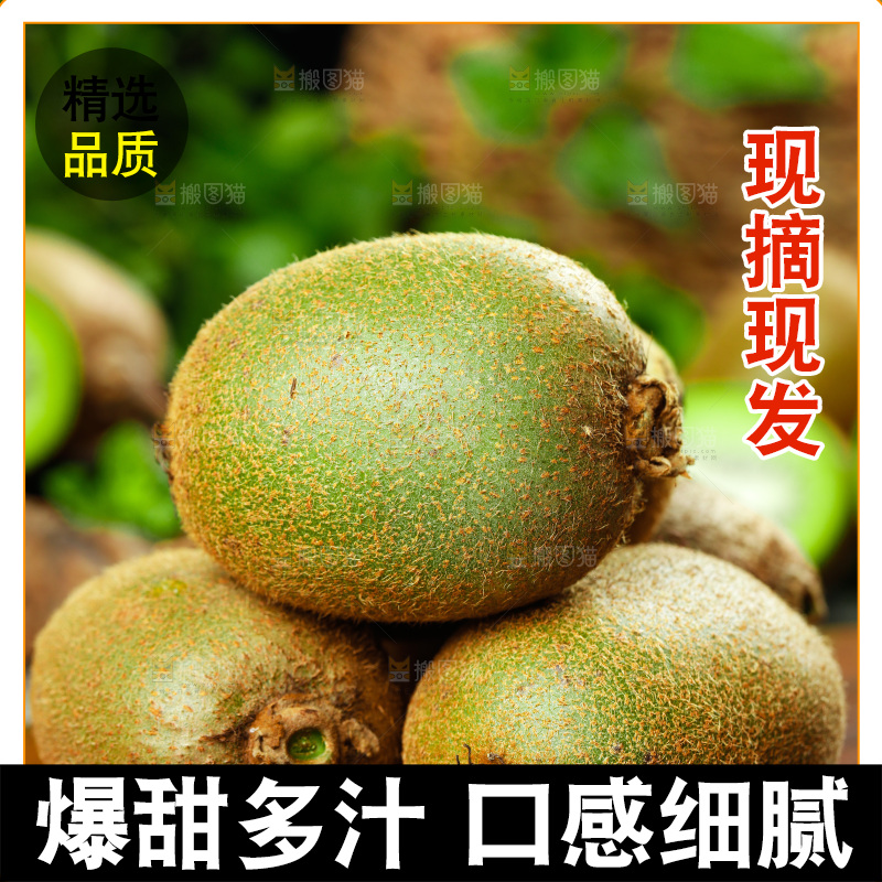 佳沛奇异果主图