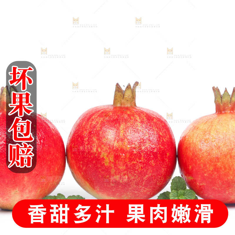 白底上的软籽红石榴
