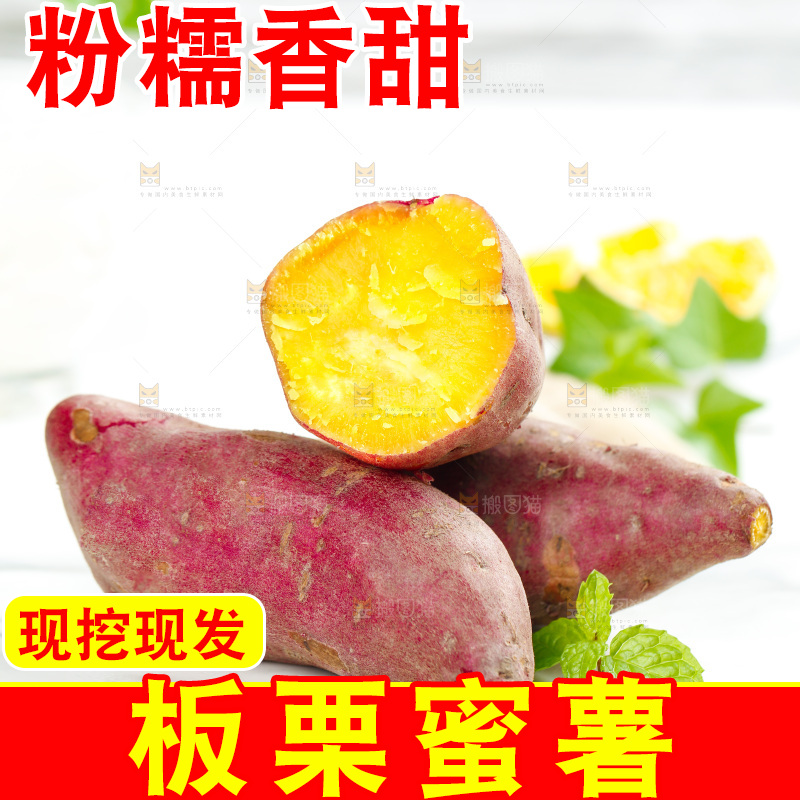 白石板上的山东板栗蜜薯