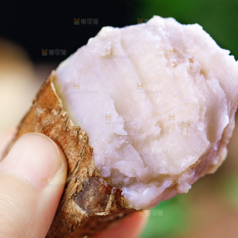 手上拿着小芋头