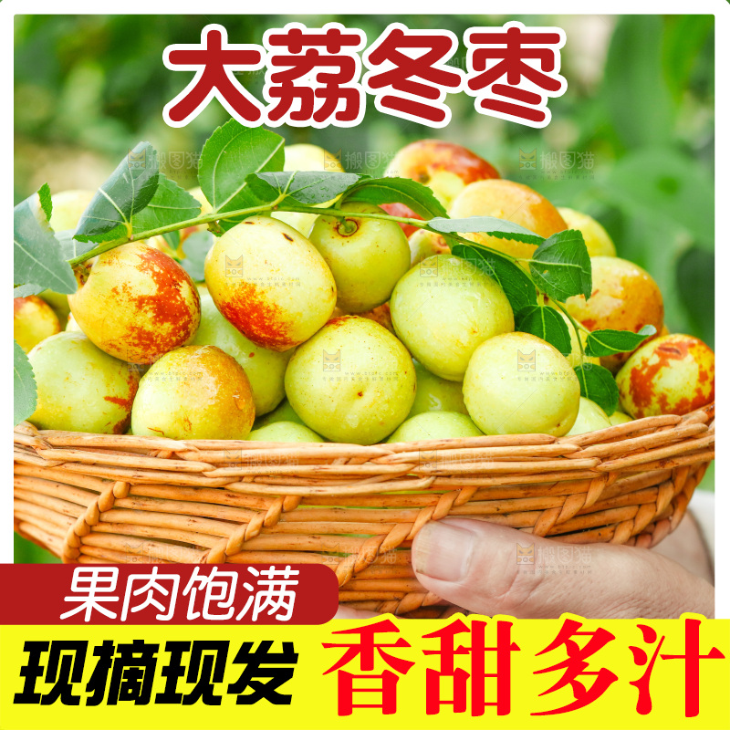 农民手上端着一篮新鲜冬枣