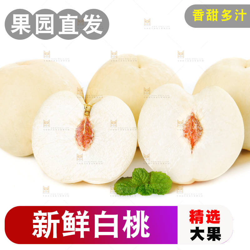 白底上的阳山水蜜桃