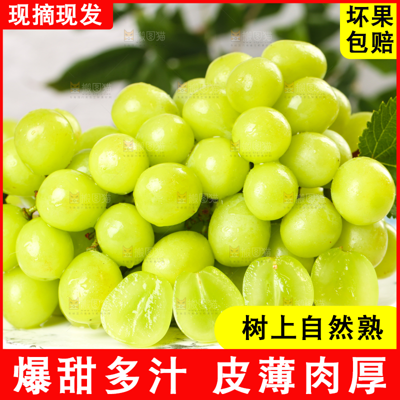 格子底上一盘云南阳光玫瑰青提