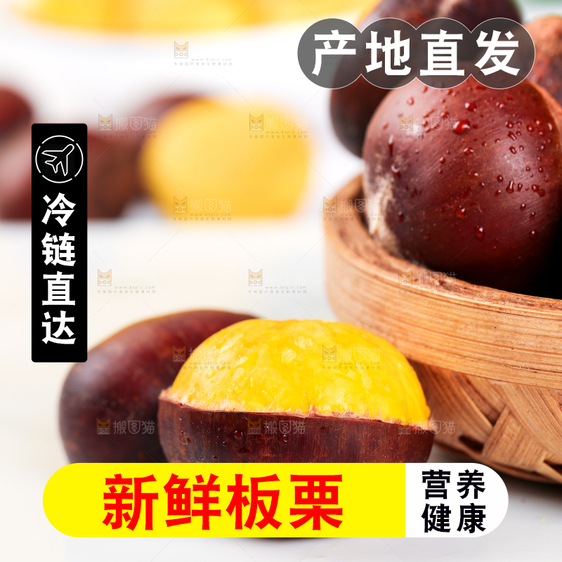 白底上的迁西板栗