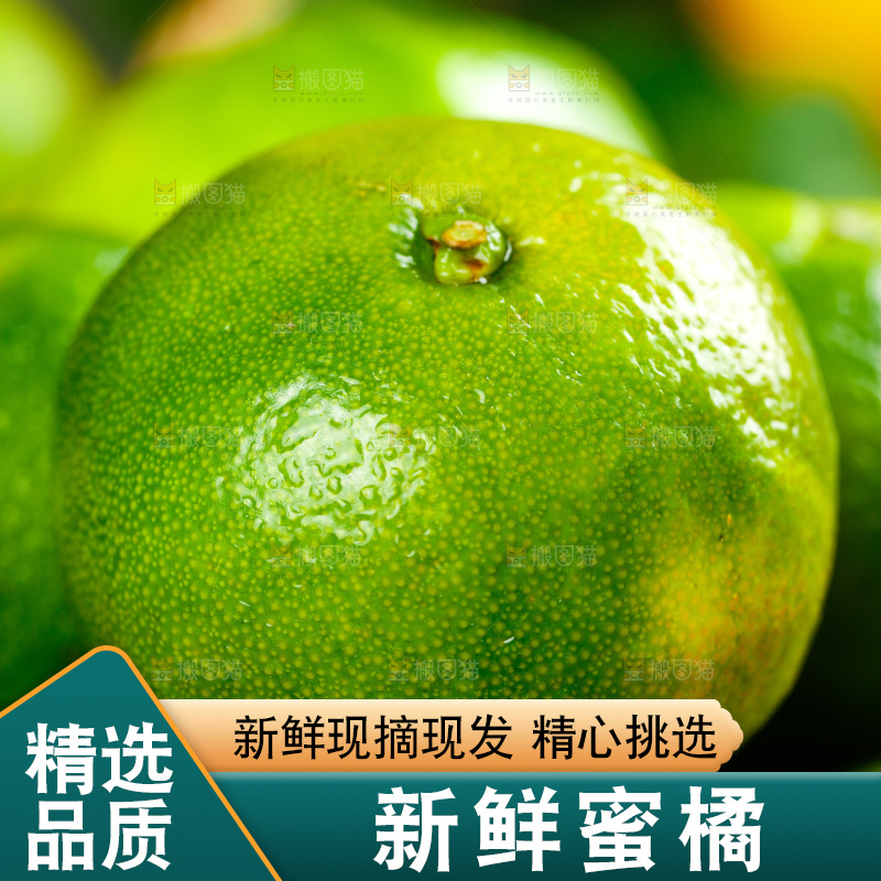 一堆新鲜的青皮蜜桔