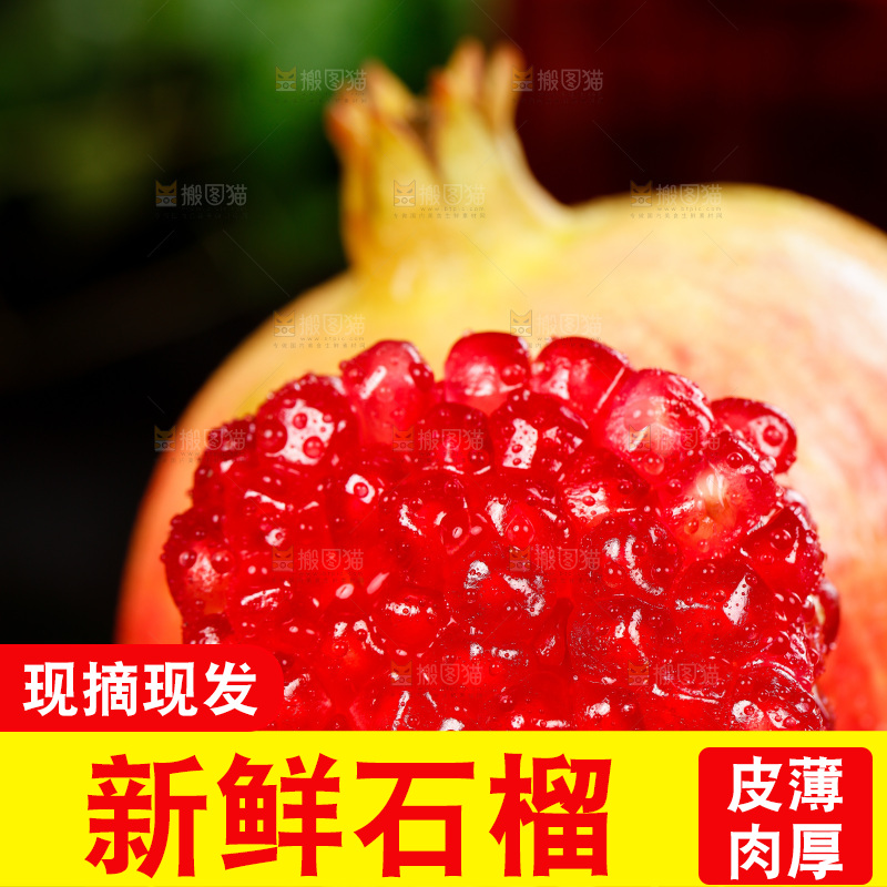 黑石底上的红宝石石榴
