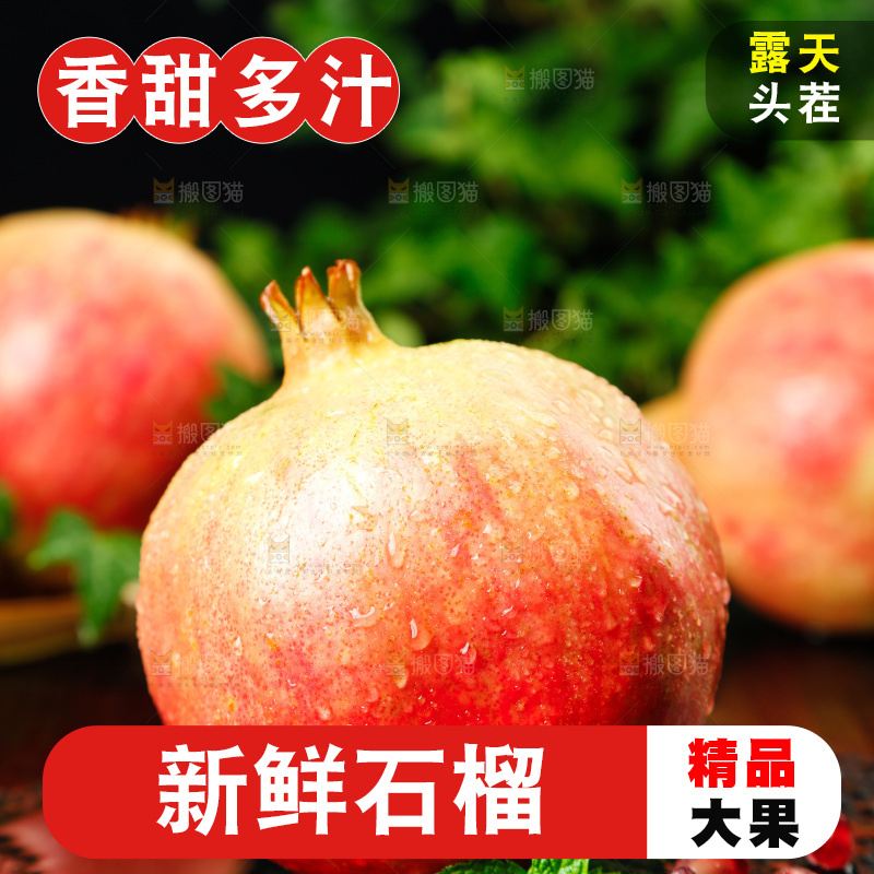 黑底上的石榴