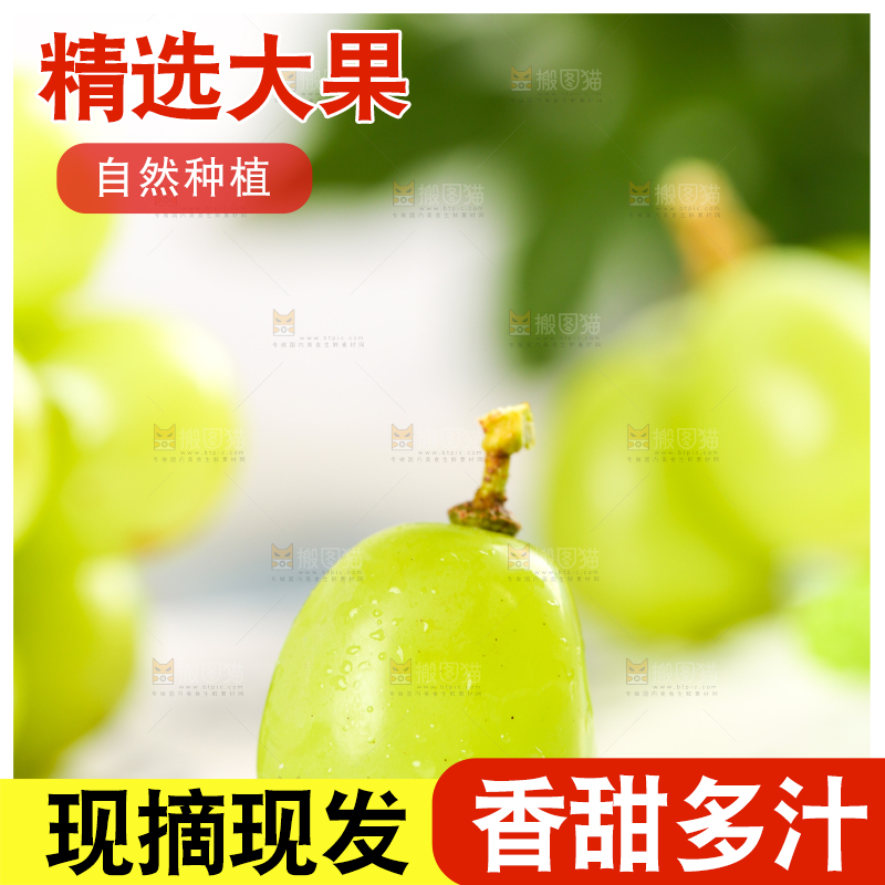石盘里的无籽青提