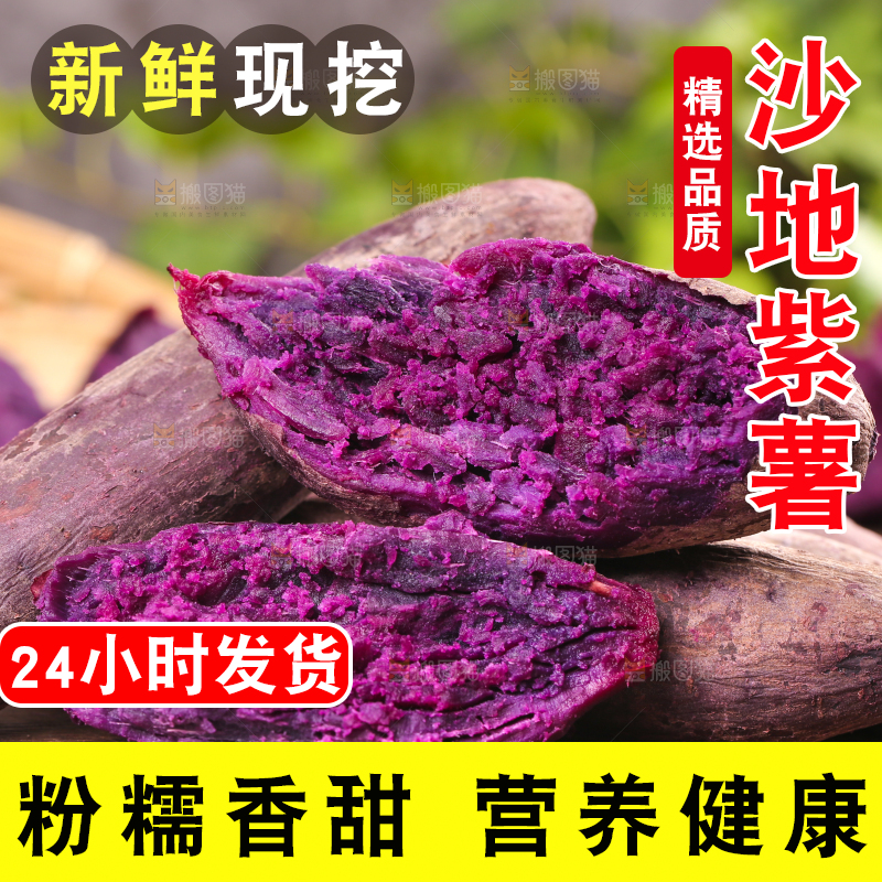 木底上的山东紫薯