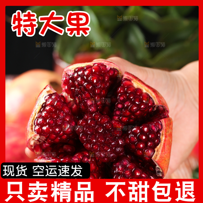 手上拿着突尼斯石榴