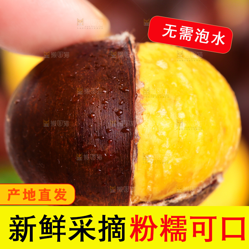 手上拿着迁西板栗