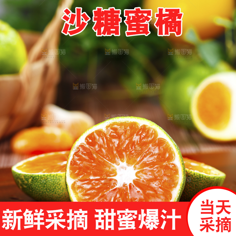 深木底上的无籽蜜桔