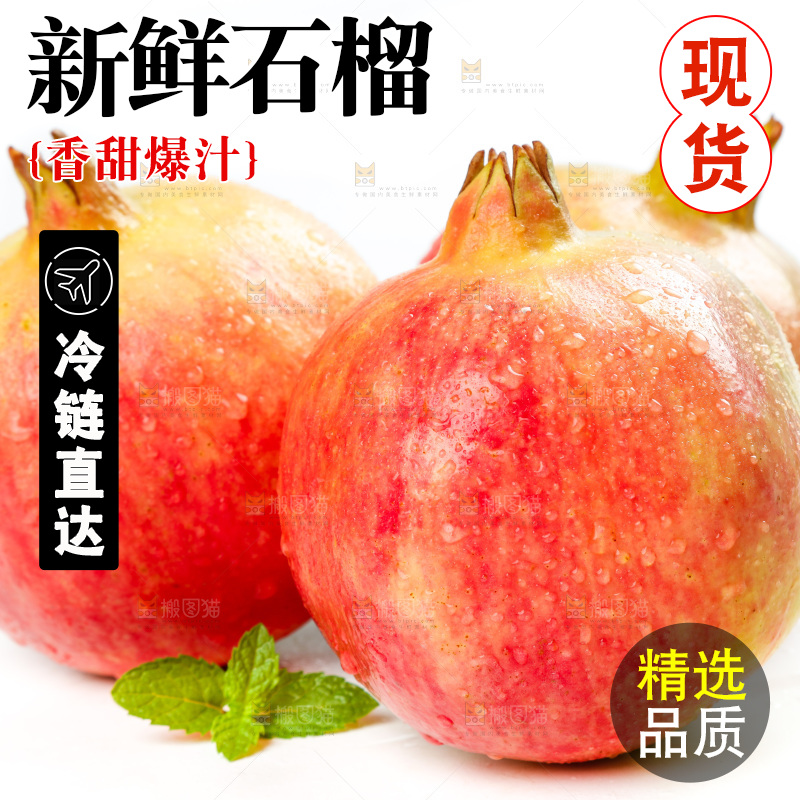 白底上的石榴