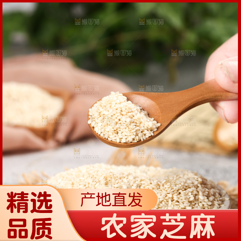 一碗脱皮白芝麻和勺子上挖着芝麻