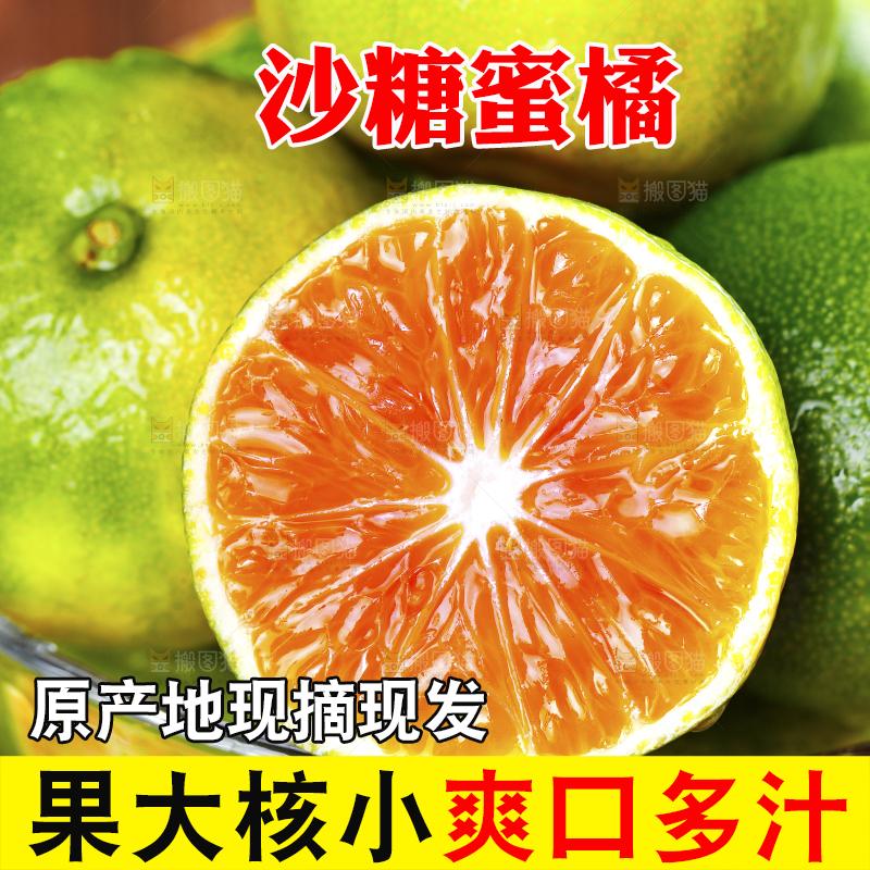 深底上放着一碗青皮蜜桔