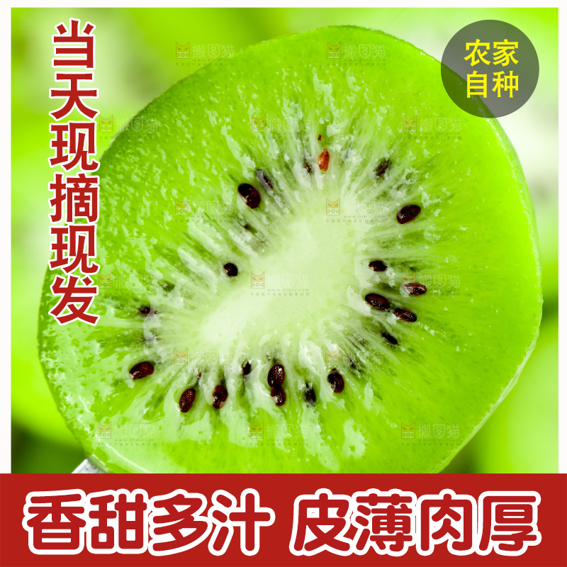 叉子上插着绿心奇异果