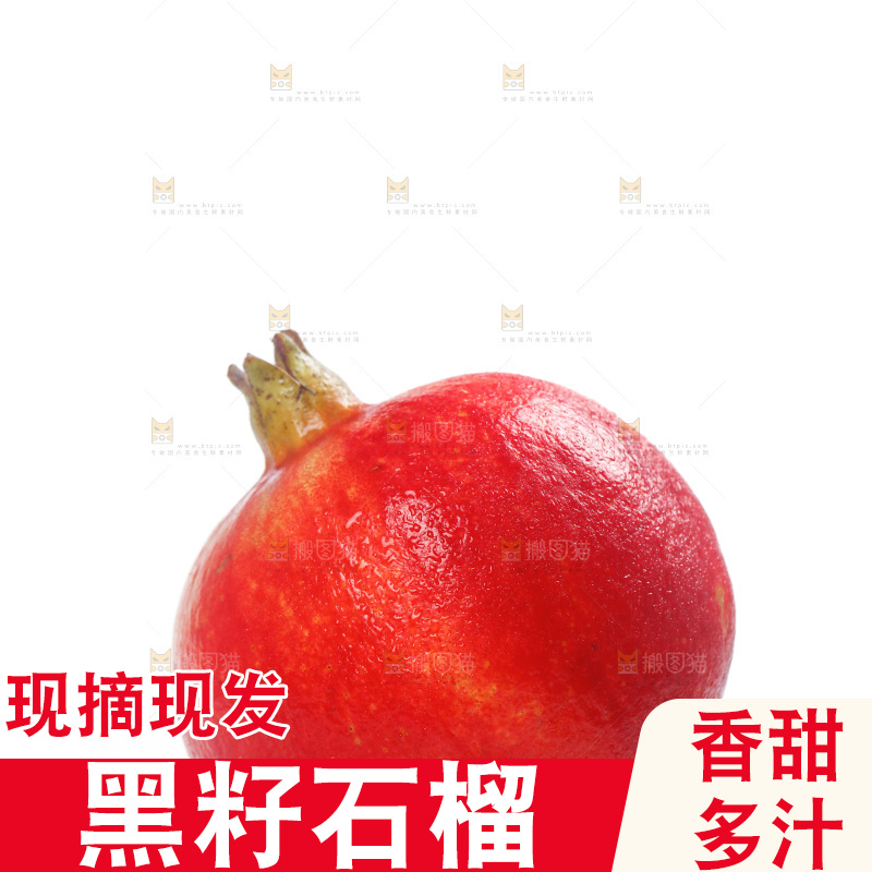 白底上的突尼斯软籽石榴