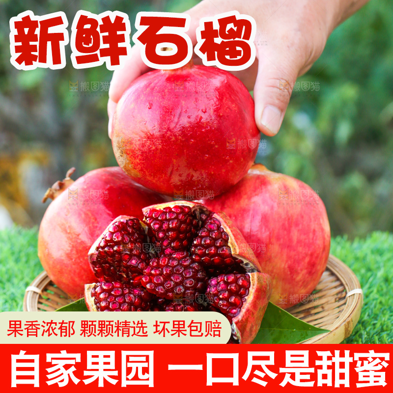 绿色草坪上放着一篮红石榴