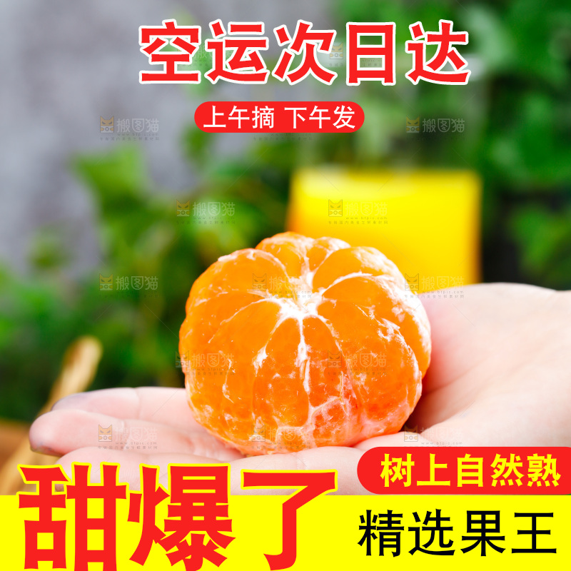 手上拿着蜜桔